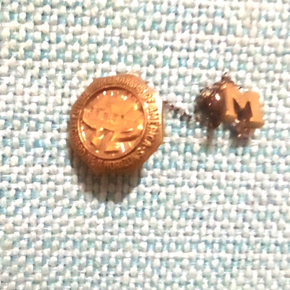 Vintage future homemakers of America toward New horizons lapel pin - Picture 1 of 4